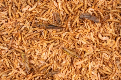 CHIX Insektenmix 180g getrocknet